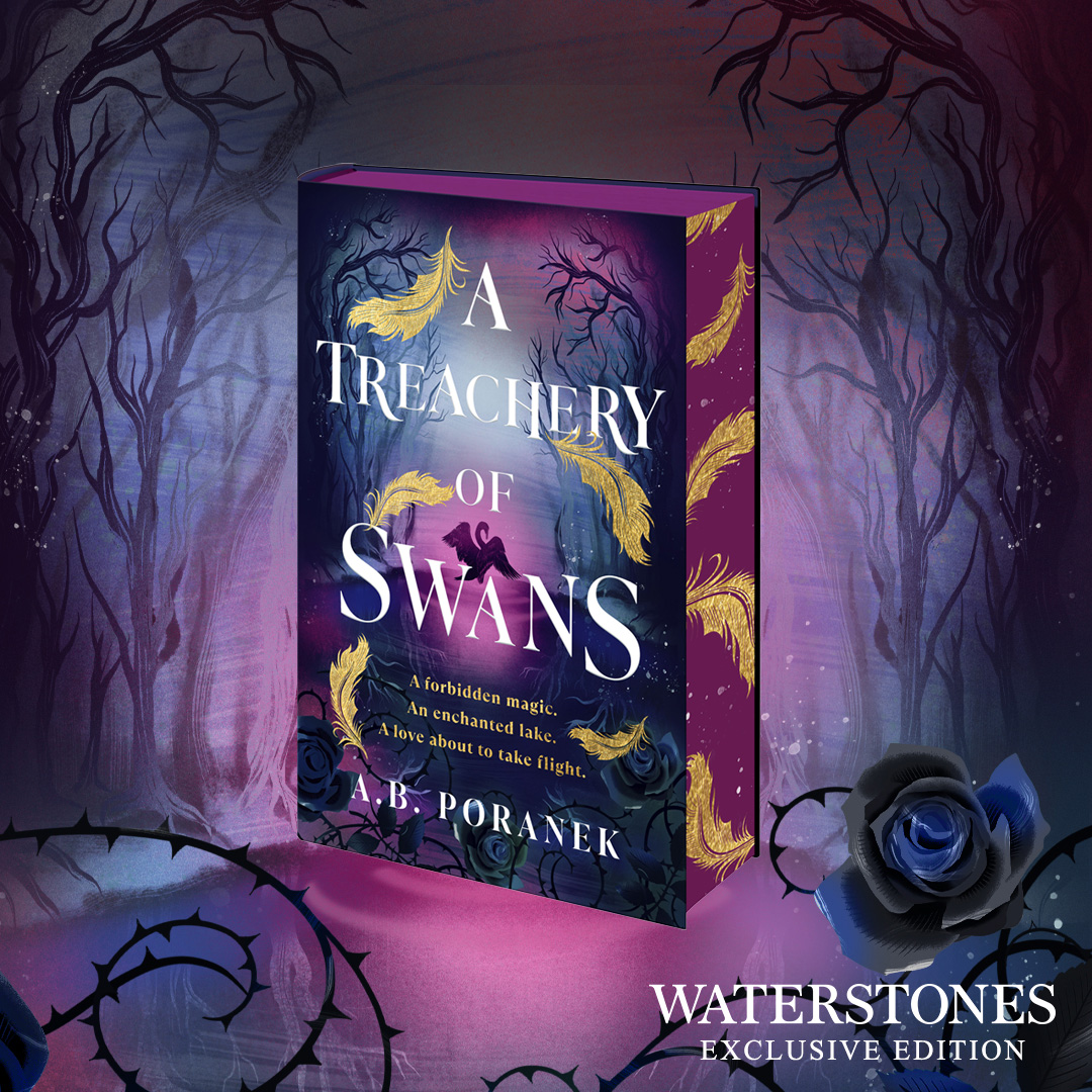 Penguin Huddle tweet media