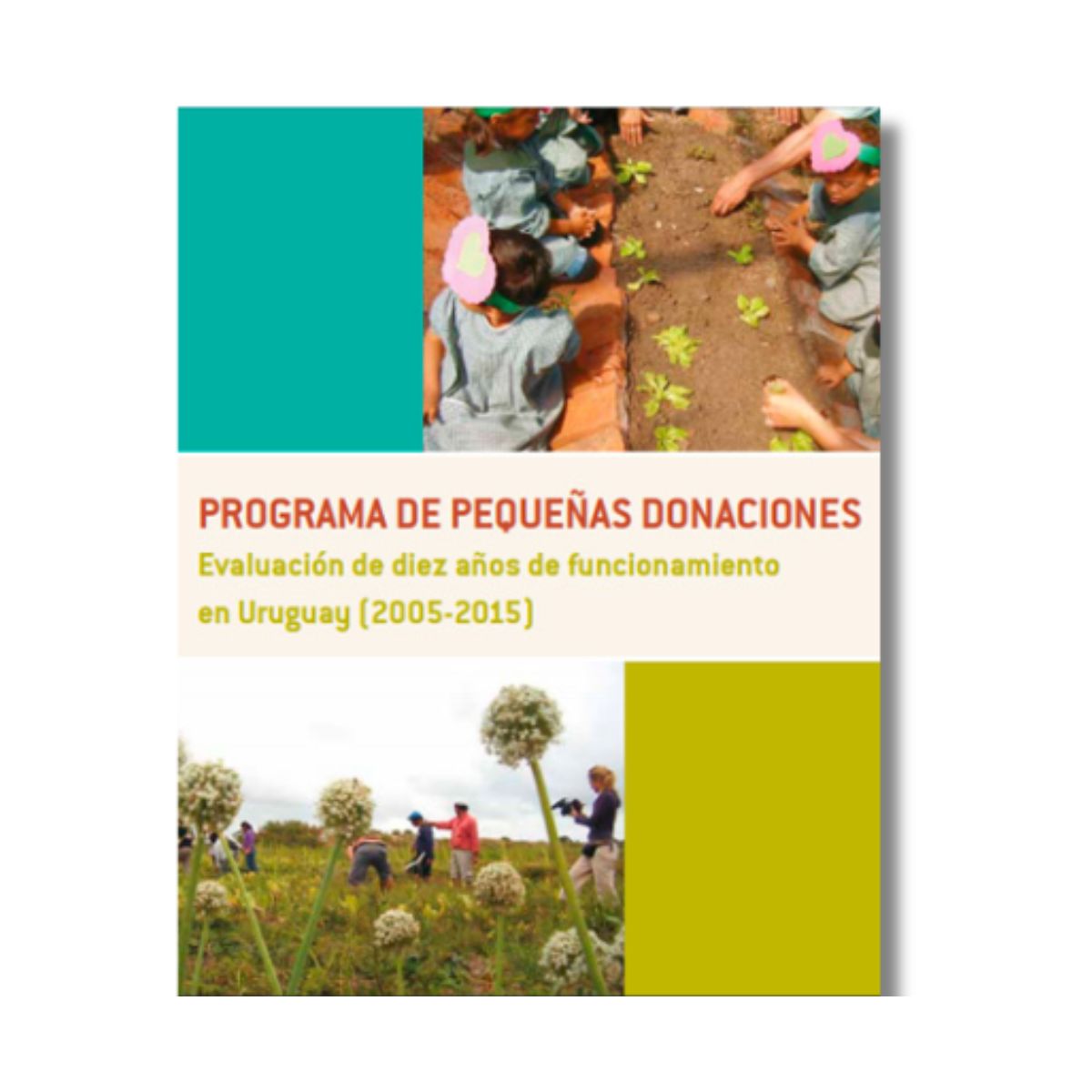 ¿Querés conocer como fueron nuestros primeros 10 años de impacto en Uruguay? 🌿

Descargá la publicación y conocé cómo hemos contribuido a iniciativas sostenibles y comunitarias en el período 2005-2015.

📥ppduruguay.undp.org.uy/programa-de-pe…