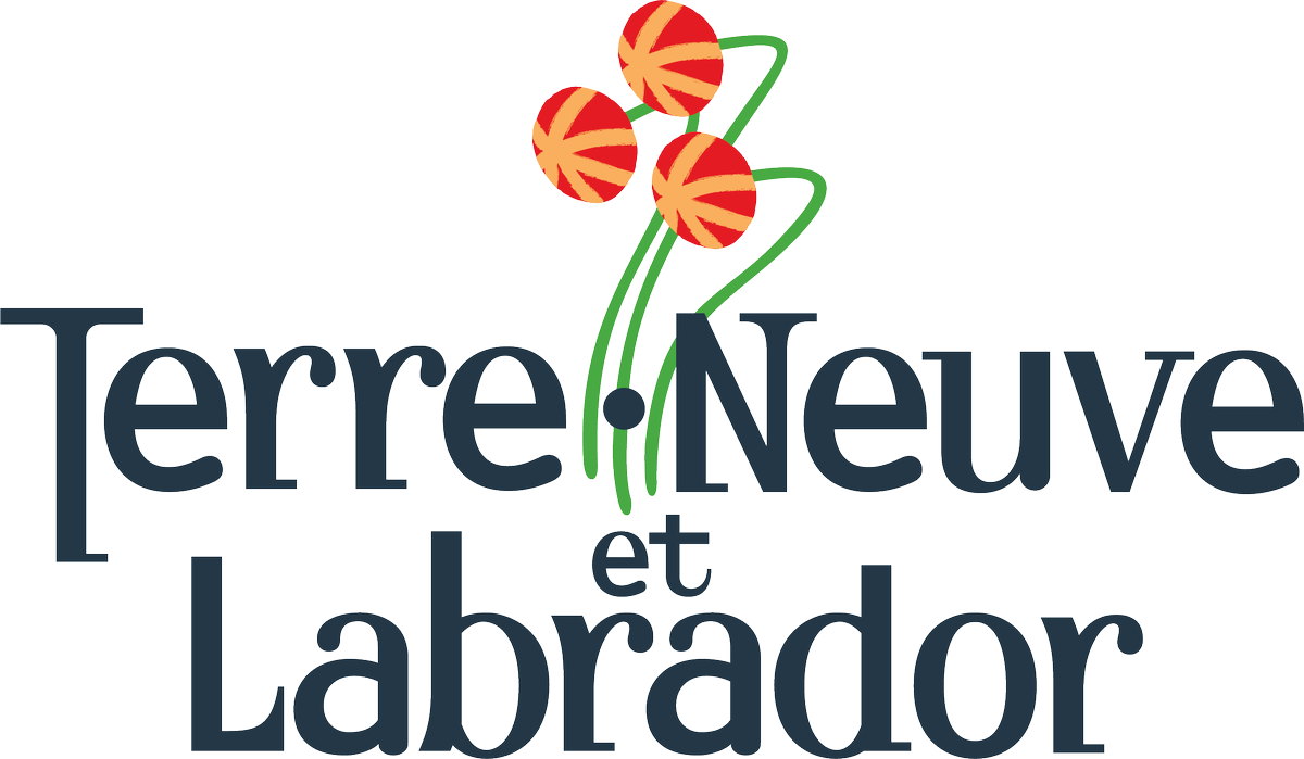 Offre d'emploi du gouvernement  📣 « Fonctionnaire de tribunal » à la cour suprême de Terre-Neuve-et-Labrador, à Corner Brook, Happy Valley-Goose Bay, et Saint-Jean.
hiring.gov.nl.ca/job-details/30…