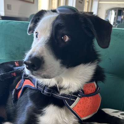 #NewProfilePic