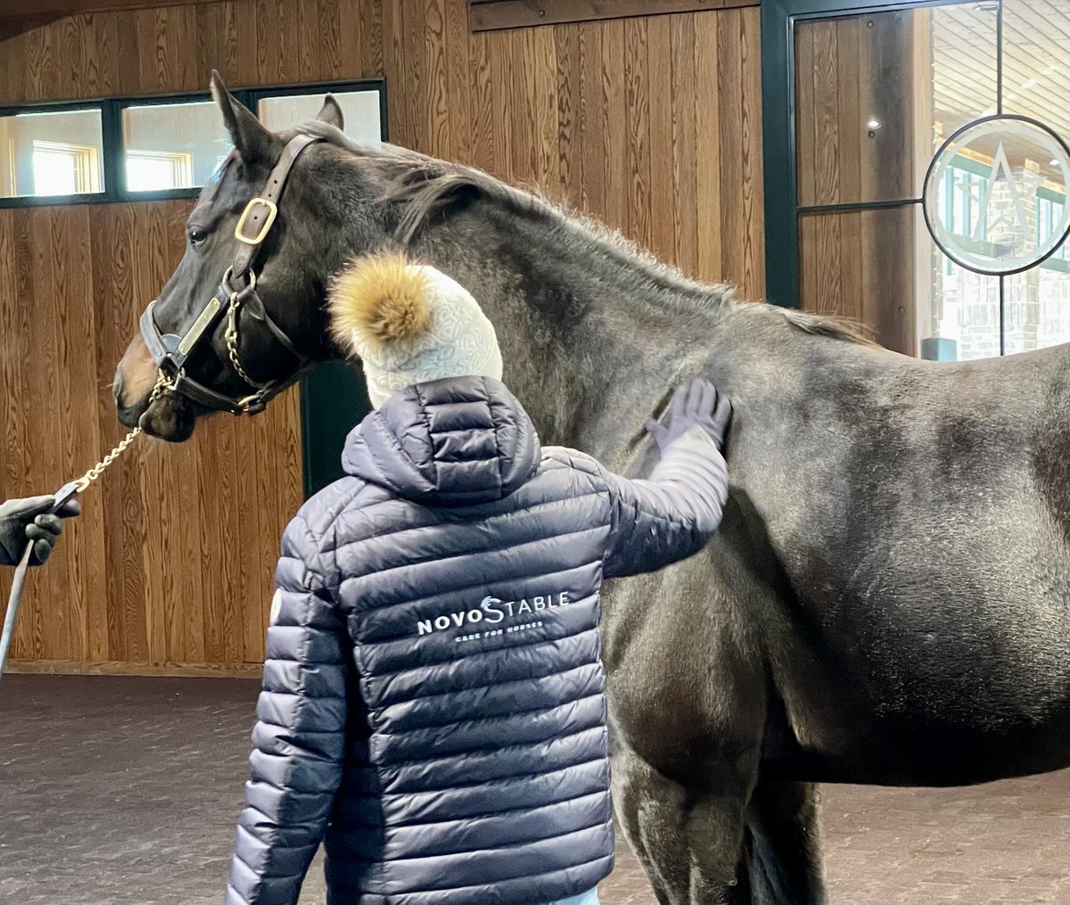 novostable's tweet photo. Exploring the heart of Kentucky's equine industry 🐎✨ From visiting iconic farms to connecting at Keeneland Sales, we're building relationships and embracing innovation in horse care and management. 🏇🌟 #NovoStable #EquineInnovation #EquineConnections https://t.co/D1dptHj6a4