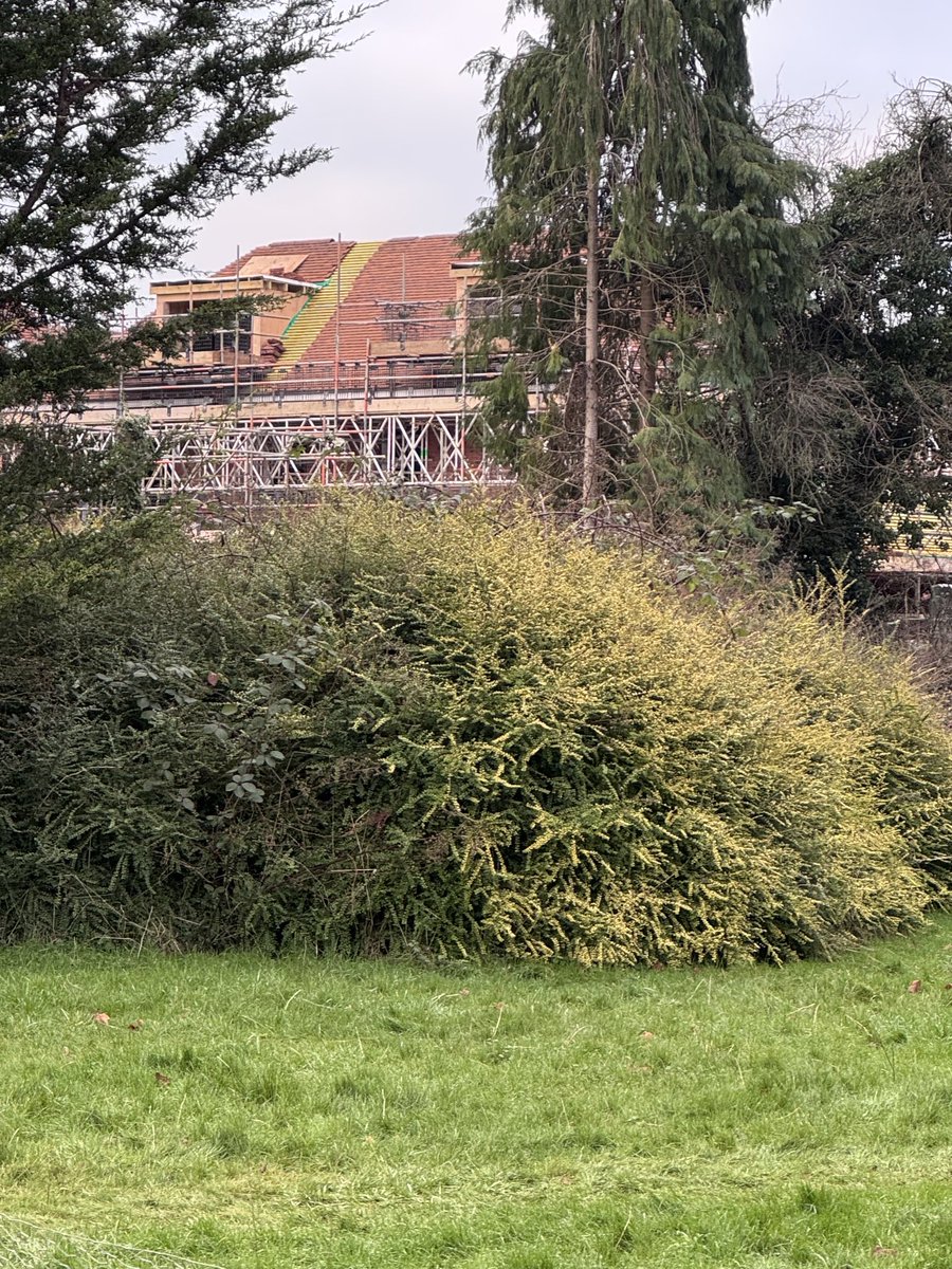 Garden Brocante tweet media