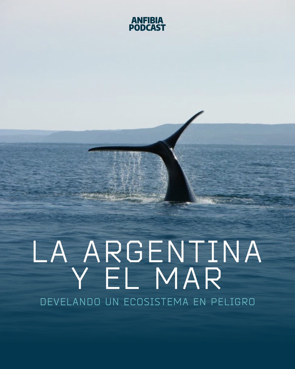 #PODCAST LA ARGENTINA Y EL MAR · ¿Cuánto conoce Argentina a su mar?

El podcast La Argentina y el Mar nos sumerge en este ecosistema vital y poco explorado para descubrir sus amenazas más urgentes y entender conceptos clave.

Escuchalo en Spotify:

open.spotify.com/show/3TZkk59Kp…