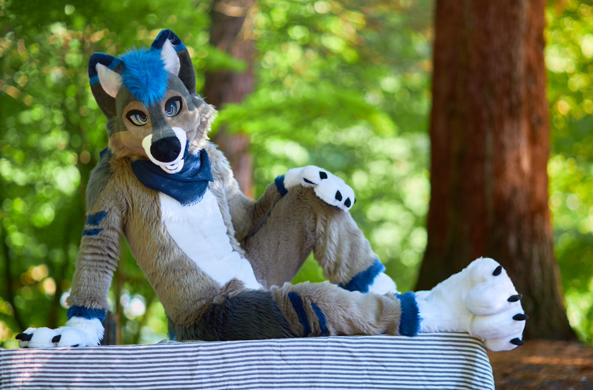 Sliver 🔜 EF (@sliverwusky) on Twitter photo Just chilling in the forest and enyjoing the vibes :3
📸: <a href="/MFurPhotography/">📸 Midnight Furtography • Furry Photostudio</a>
✂️: <a href="/FursuitParade/">Fursuit Parade</a>
#furry #fursuit #WuskyWednesday Just chilling in the forest and enyjoing the vibes :3
📸: <a href="/MFurPhotography/">📸 Midnight Furtography • Furry Photostudio</a>
✂️: <a href="/FursuitParade/">Fursuit Parade</a>
#furry #fursuit #WuskyWednesday
