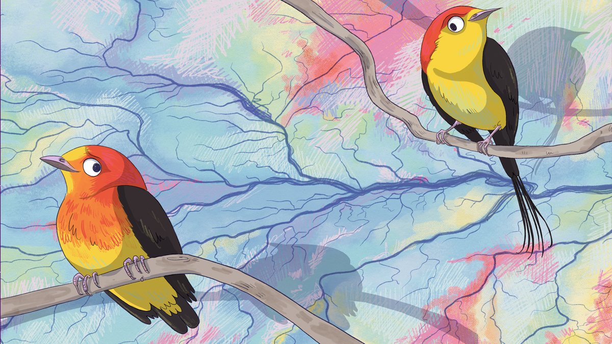 Here we go! The first issue of Nature Reviews Biodiversity is now live🥳🎉🥂.  Thank you to our authors, reviewers, and community for the support! We hope you enjoy the reading. nature.com/nrbd/volumes/1…