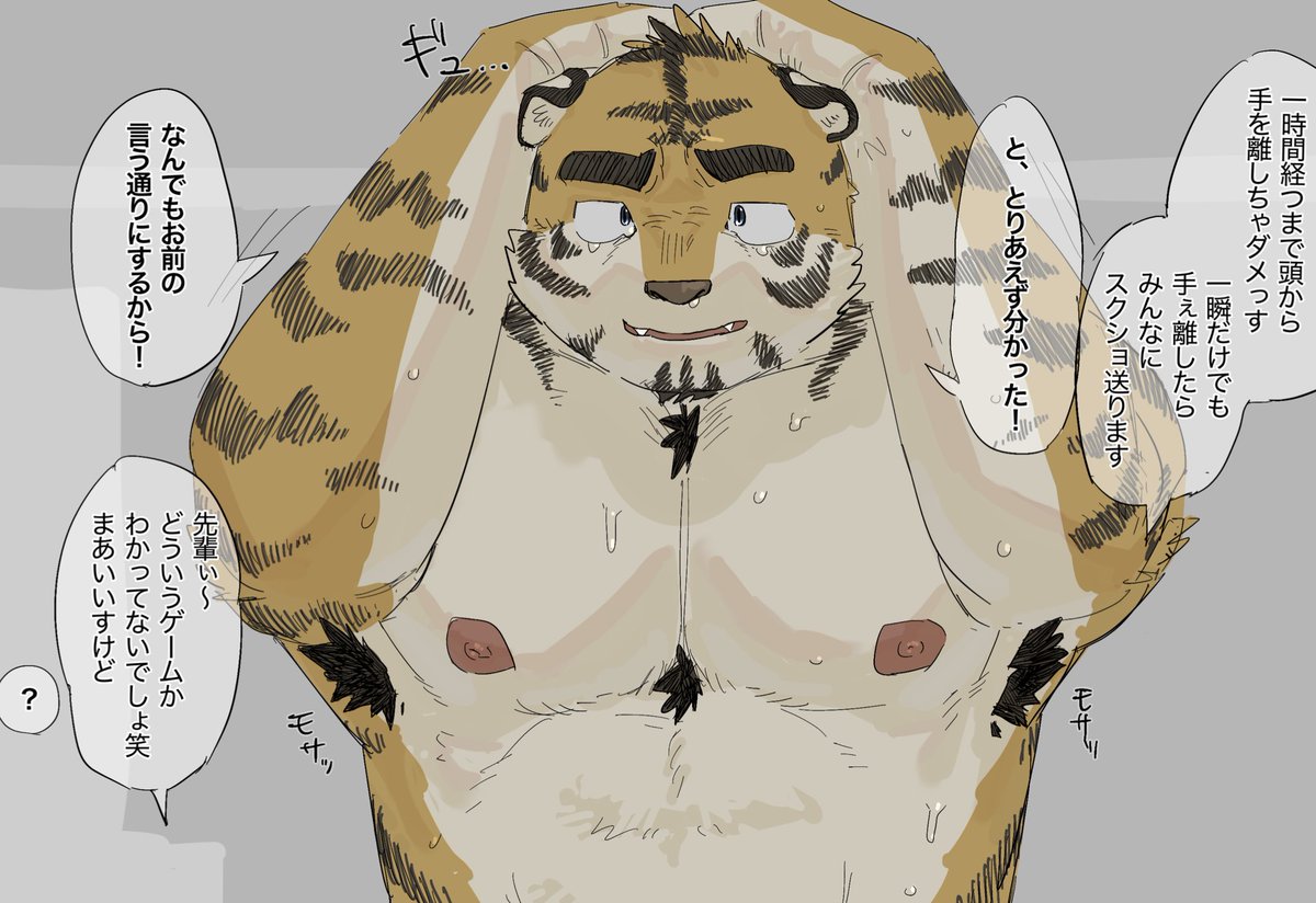 ぶなしめじ🍄 tweet media