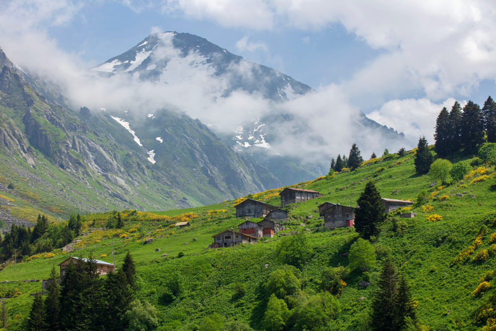 Kaçkar Dağları’nın eteğinde, bulutların arasında bir cennet hayal et... İşte, burası Elevit Yaylası! Temiz havayı içine çek, derelerin şırıltısıyla ruhunu dinlendir, doğanın tadını çıkar. 🌬️💚

Burası sadece bir yayla değil; her köşesinde başka bir güzellik saklı. Yöresel