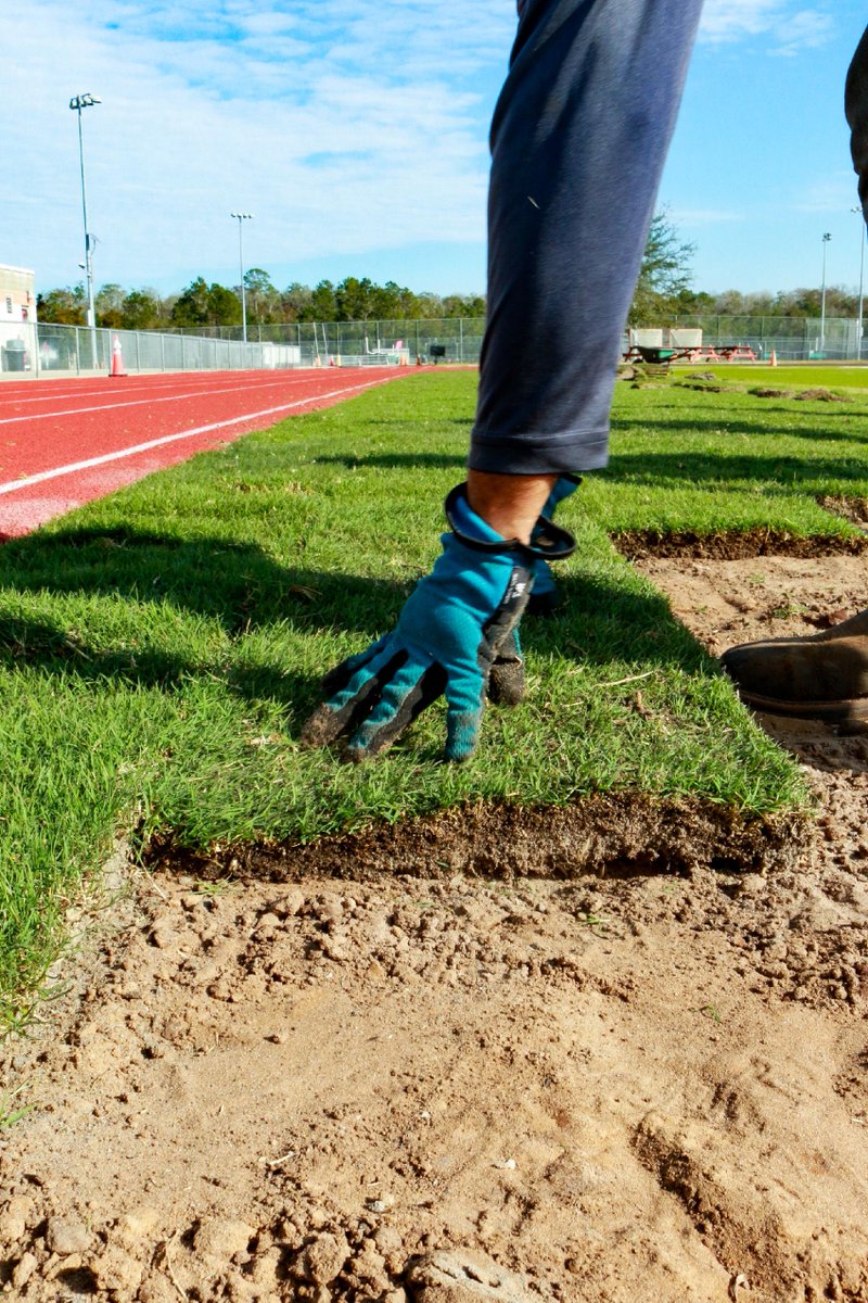 taterfarms's tweet photo. Why do the heavy lifting when we can do it for you? 💪 Work smarter, not harder—our sod installation crew is here to lend a helping hand! 🌱 Call us today at (904) 692-2246 and let’s tackle your turf needs together! #taterfarms #sodinstallation https://t.co/AGiEE6RhBf