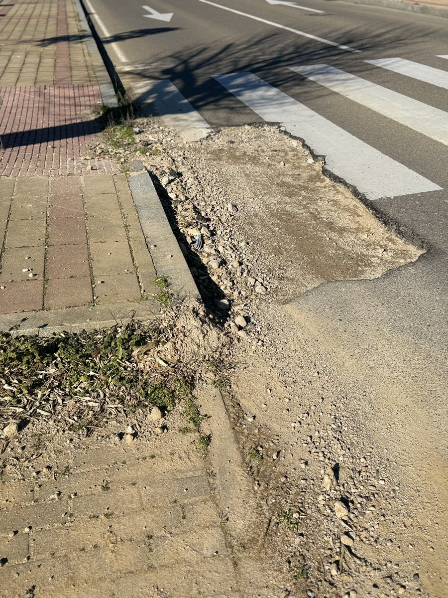 Lucio Fuertes tweet media