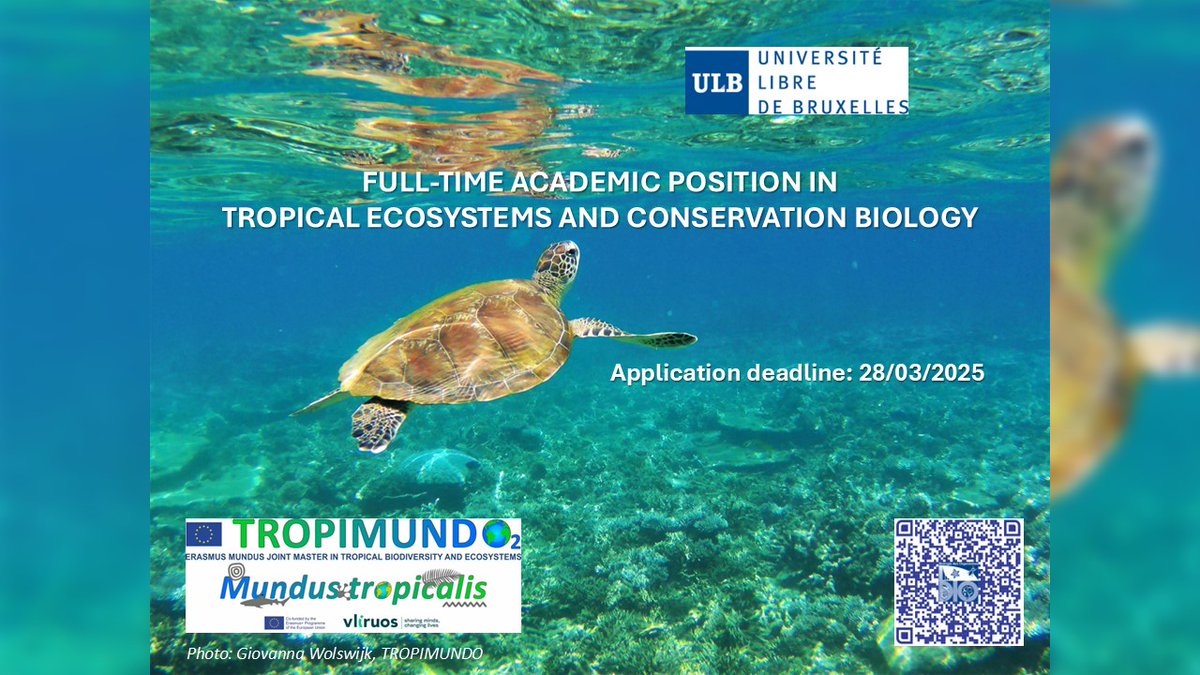 Department of Organism Biology - DBO (@ulbdbo) on Twitter photo Êtes-vous qualifié pour postuler à une chaire de professeur à temps plein dans le domaine des #écosystèmes tropicaux et de la #biologie de la #conservation (biota-environment-people) ?
<a href="/ULBruxelles/">Université libre de Bruxelles</a> <a href="/ULBDBO/">Department of Organism Biology - DBO</a> recrute en soutien à <a href="/TROPIMUNDO/">TROPIMUNDO</a>.
Date limite de candidature : 28/03/2025. Êtes-vous qualifié pour postuler à une chaire de professeur à temps plein dans le domaine des #écosystèmes tropicaux et de la #biologie de la #conservation (biota-environment-people) ?
<a href="/ULBruxelles/">Université libre de Bruxelles</a> <a href="/ULBDBO/">Department of Organism Biology - DBO</a> recrute en soutien à <a href="/TROPIMUNDO/">TROPIMUNDO</a>.
Date limite de candidature : 28/03/2025.