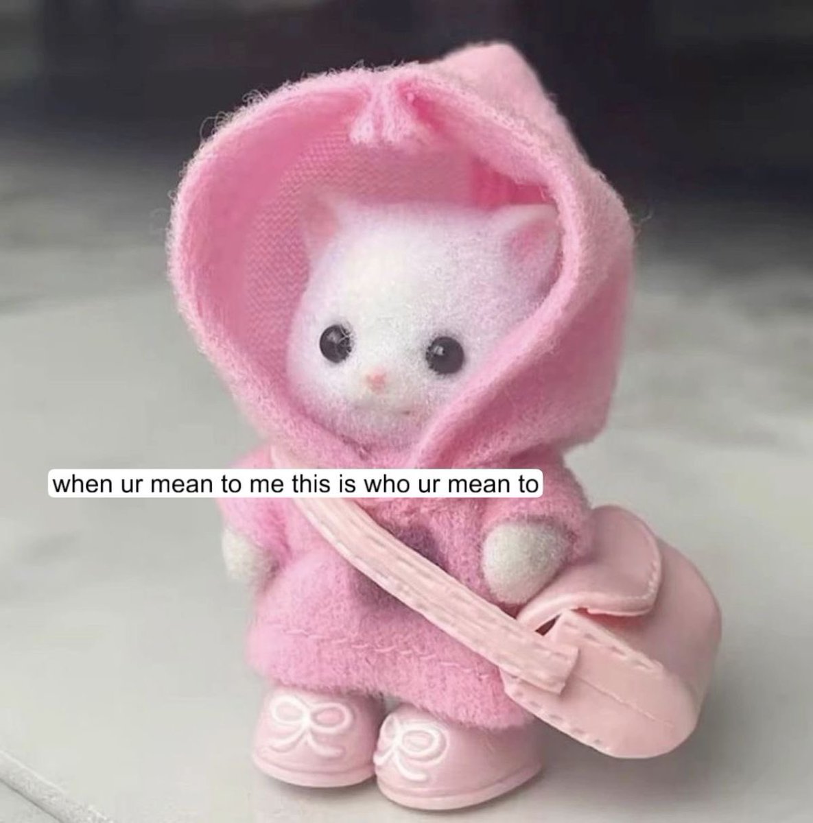 ˖ ꜝ❤︎ kimi 𑣲 ⏦ﾟ tweet media