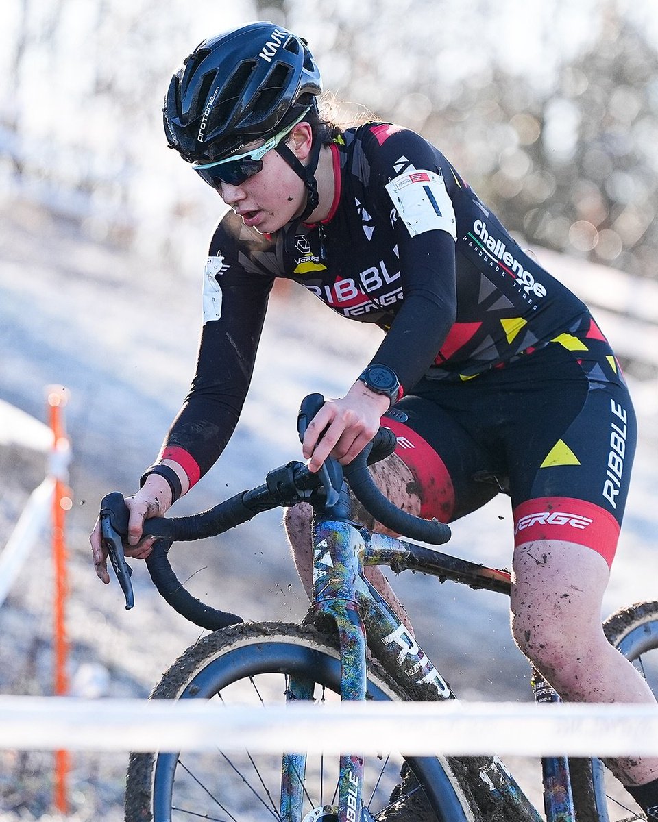 Harris Sutton tweet media