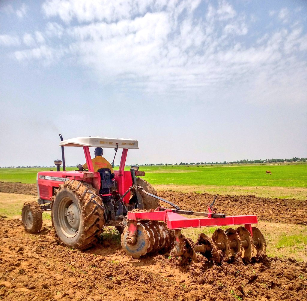 dufitalexis1's tweet image. Mechanization transforms farming into a profit powerhouse!

Mechanized farms can boost productivity by up to 30% and reduce labor costs by 20%. Scale your agribusiness with modern tools for greater success! 

 #FarmMechanization #Agribusiness #SmartFarming