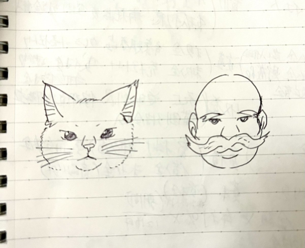 実家猫もう15歳くらいだけどドンドン髭が伸びてる気がする
もう人間で言うと80くらいだから口髭長いおじいちゃんなのかな