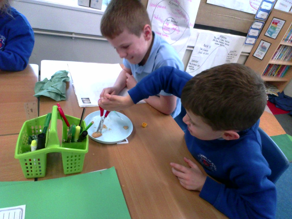 AppleySaintsCE's tweet photo. Year Four enjoyed exploring the functions of different types of teeth in science. The children are very interested in this topic and are excited to find out more! #abasy4 #abassci @STEMLearningUK @WN6_Mums @ShevCommunity https://t.co/eATaQXQfh9