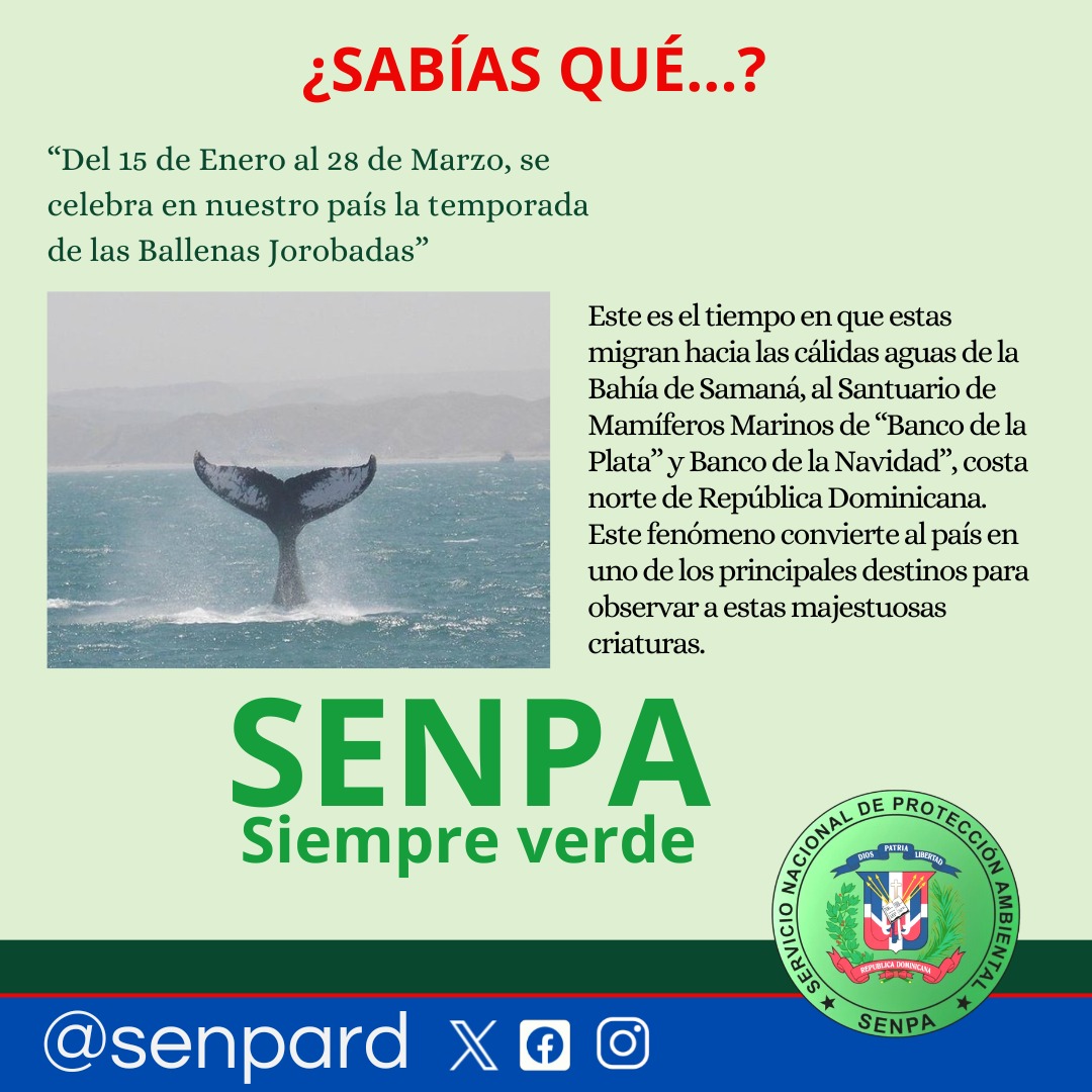 Servicio Nacional de Protección Ambiental tweet media