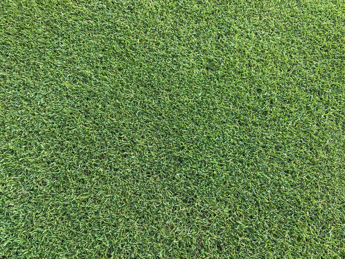 Michael Russell tweet media