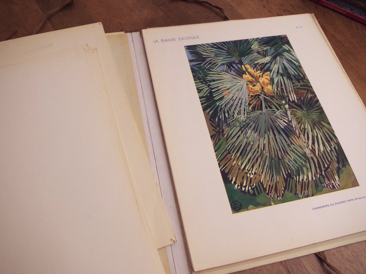 Il y a parfois quelques arrivées hors norme dans ma bibliothèque. Celle-ci en est. Le dégât collatéral c'est que désormais et pendant quelques termps, les épinards seront cuisinés sans beurre. Et vu ce que je viens de dénicher, il n'y aura peut-être même plus d'épinards d'ici peu