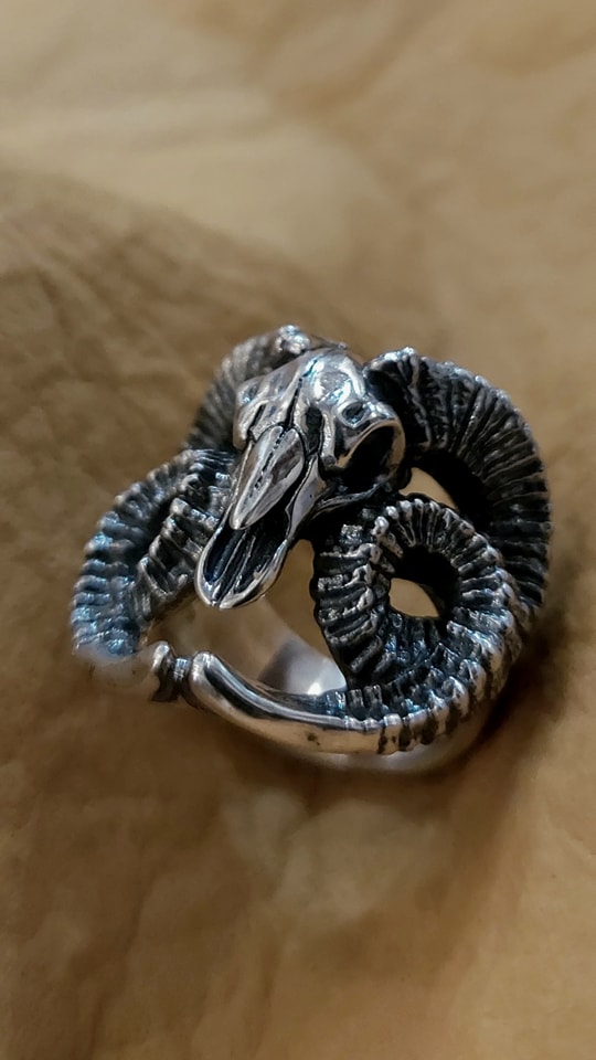 silver29617's tweet photo. Strange Freak Designs - バロワーズ リング 羊の頭骨
古谷每年製作的生肖頭骨系列
誇張生長的羊角成為這款的特點
#StrangeFreakDesigns #sfd #dresscode925 #古谷尚人 https://t.co/WZHr8rGPgJ