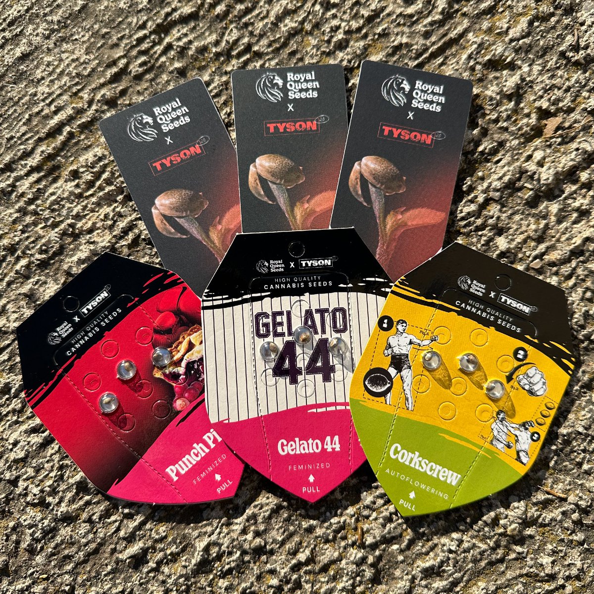 GIVEAWAY ALERT, GROWERS! 🚨 I'm giving away 2 awesome packs to 2 lucky winners! Each pack includes 3 seeds of Gelato 44, Punch Pie, Corkscrew Auto, plus some Tyson pot tags 🌱 

Follow us, RT this, and tag a friend in the comments! The more comments, the better your chances! 🥊🔥