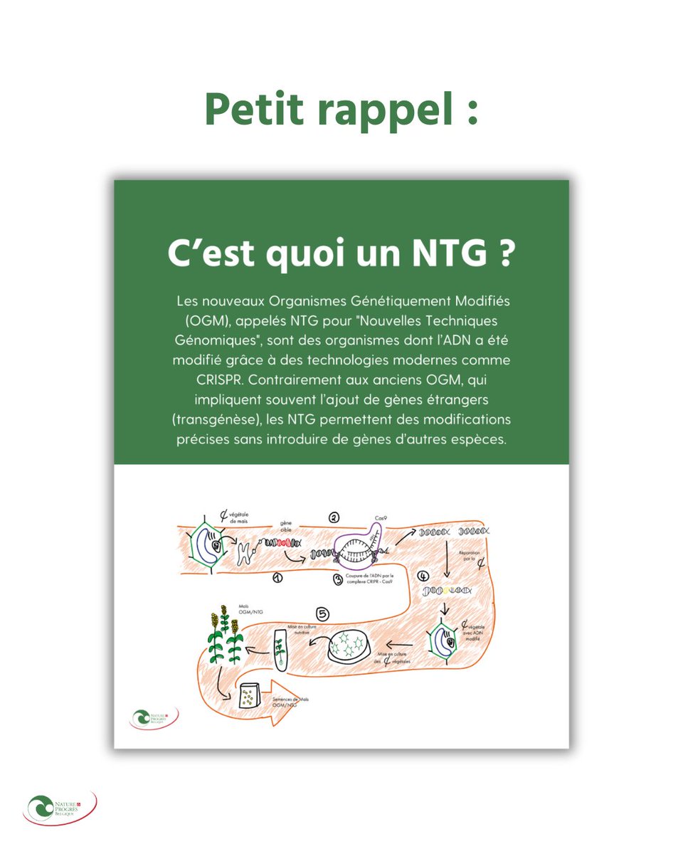 Nature & Progrès Belgique tweet media