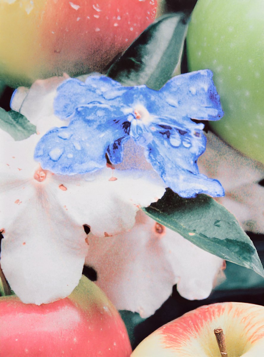 이른 イルン tweet media