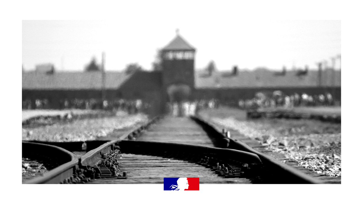 Il y a 80 ans, le 27 janvier 1945, l’armée soviétique libérait le camp d’Auschwitz.

Une page éduscol propose des ressources pour étudier en classe l’histoire de cet événement et mettre en œuvre avec les élèves un travail de mémoire.

📍eduscol.education.fr/4154/il-y-80-a…