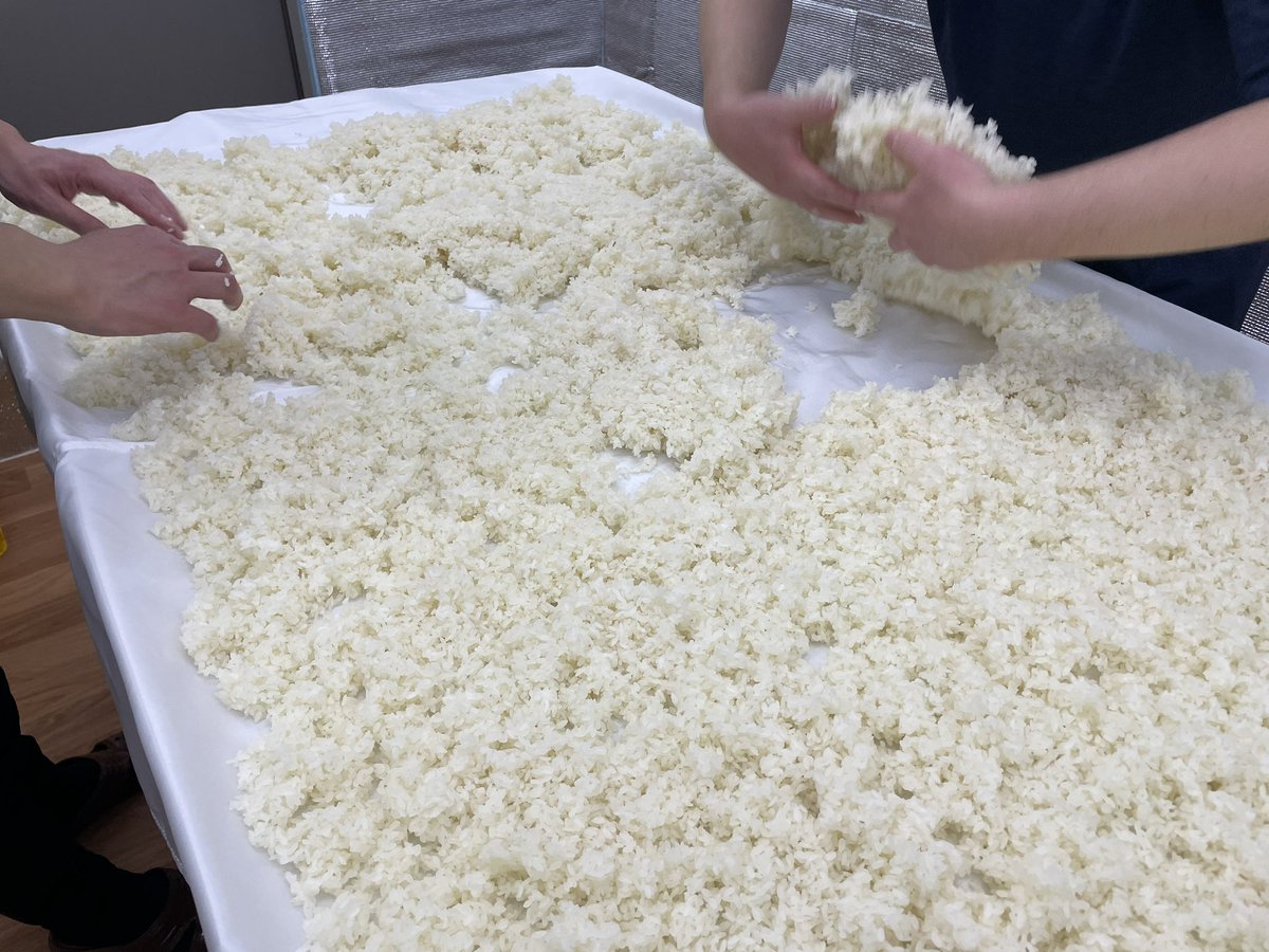 yamaneshuzo's tweet photo. 【拡散希望・やまね酒造新年会の詳細決定！】

東京都神田で、やまね酒造の初の単独イベントを開催いたします。
2025年1月26日（日）17:30〜22:30まで会場は「立ち飲み居酒屋ちぇけ」様です。

2時間やまね酒造のお酒飲み放題で1名様6,000円（税込）です。
※やまね酒造のお酒は木桶仕込み・6号酵母・袋吊り・無濾過生原酒です
秘蔵酒であるカカオニブ麹を使ったお酒はじめ、蜂蜜酒や狭山茶酒等、やまね酒造の年間製造量の約10%を大放出する予定です。
※一部、お酒につきましては、飲める量を制限させていただきます

おつまみ類は木桶仲間が作る木桶仕込み醤油を使ったナッツや、地元飯能産のさつま芋を使った芋チップ、やまね酒造特製の粕汁（飯能産固定種野菜【無農薬】を使用）等を販売いたします。
当日のオペレーションは、やまね酒造代表である若林ひとりを予定しているため皆様、お手柔らかにお願い申し上げます。

ご予約は①〜⑤をご記載いただき以下のメールアドレスまでお願い申し上げます。
（やまね酒造 担当：若林）yamaneshuzo@gmail.com 
①参加代表者様氏名②参加者様人数③参加開始時間④参加者様全員が20歳以上かの確認（全員20歳以上の場合はその旨、記載ください）⑤参加者様の電話番号（当日連絡のとれる電話番号）

※飲酒運転は法律により、厳しく禁止されております
※20歳未満の飲酒は禁止です