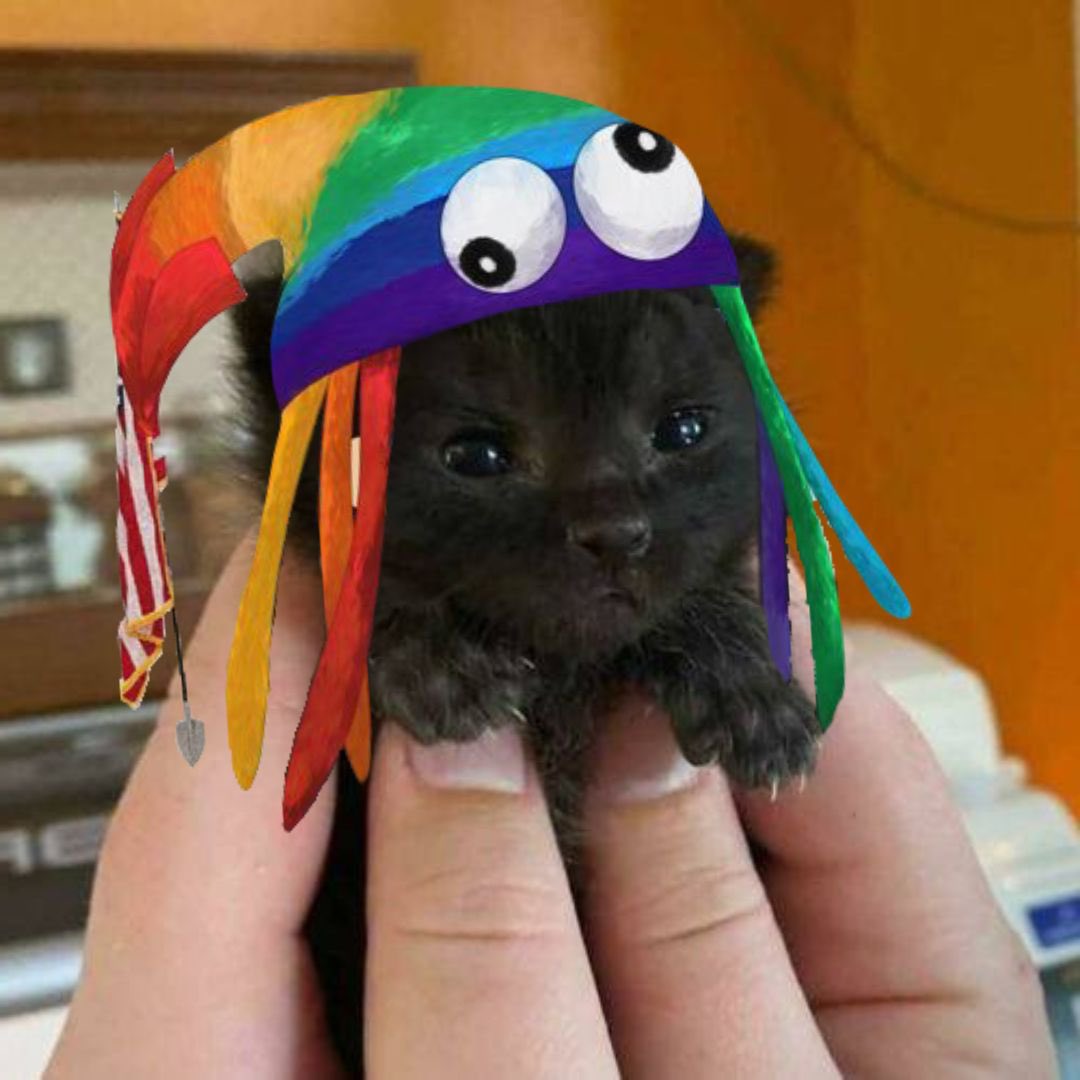 Mario726559's tweet photo. @BeanzMfer @armadilloburner @Support you mean ittyadollo? https://t.co/DHmbrZez7S