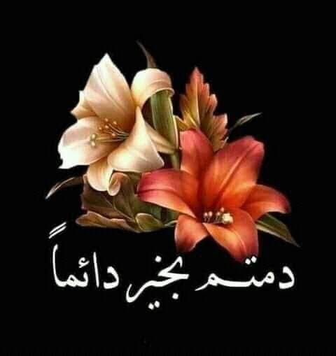 جرحني خطك وحرفك يناشدني
الا وتلك ما زرع في روحك
أعلنت لك  من اسرار الهوي
حتي  تبوح في سرك 
وما أخشاه للروح رفيقي
أصبحت وما أصبك
حتي أصابني