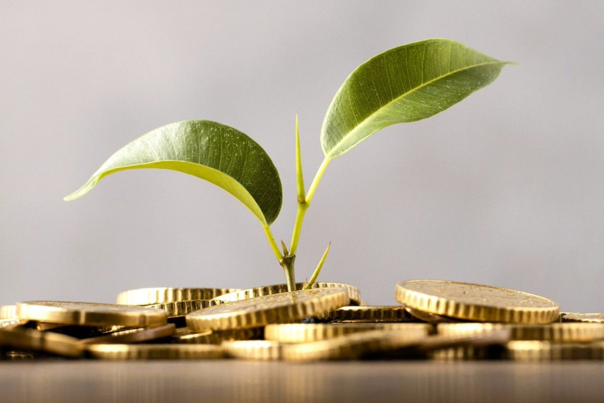 We're delighted to announce the five projects supported by this year's RDS Public Engagement Fund! 📢🥳

A total of £34,315 has been awarded to projects that bring people and data together across Scotland.

Find out more 🔗👇
researchdata.scot/news-and-insig…