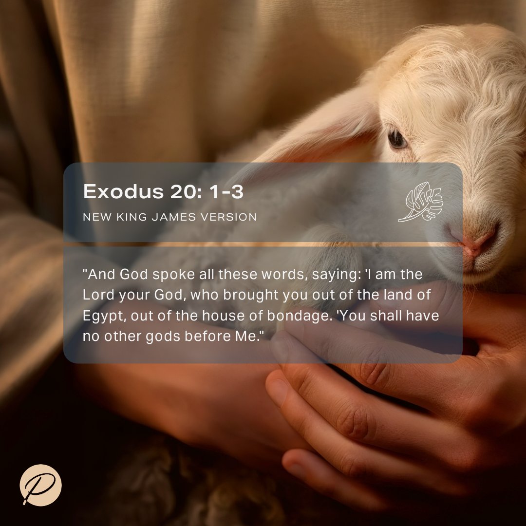This passage emphasizes God's exclusivity and desire for a loving, loyal relationship with His followers. "You shall have no other gods before Me" calls us to prioritize God above all, recognizing Him as our ultimate source of strength and purpose. #FaithJourney