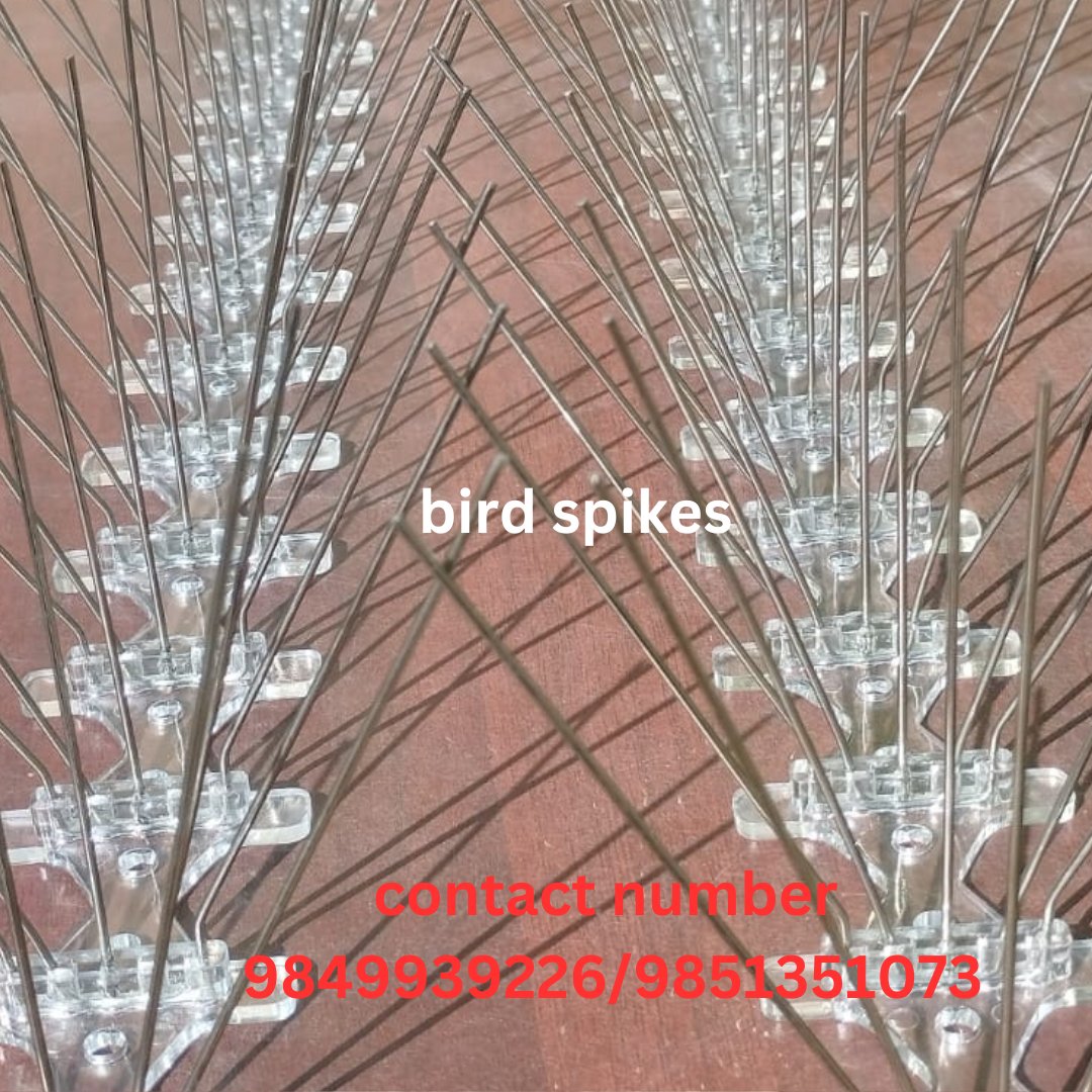Best bird spikes installation service provider in kathmandu , bhaktapur and lalitpur area 
contact number : 9849939226/9851351073
