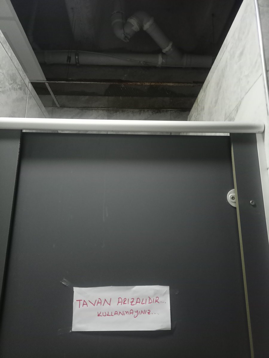 Translate: Kafanıza bok düşebilir.