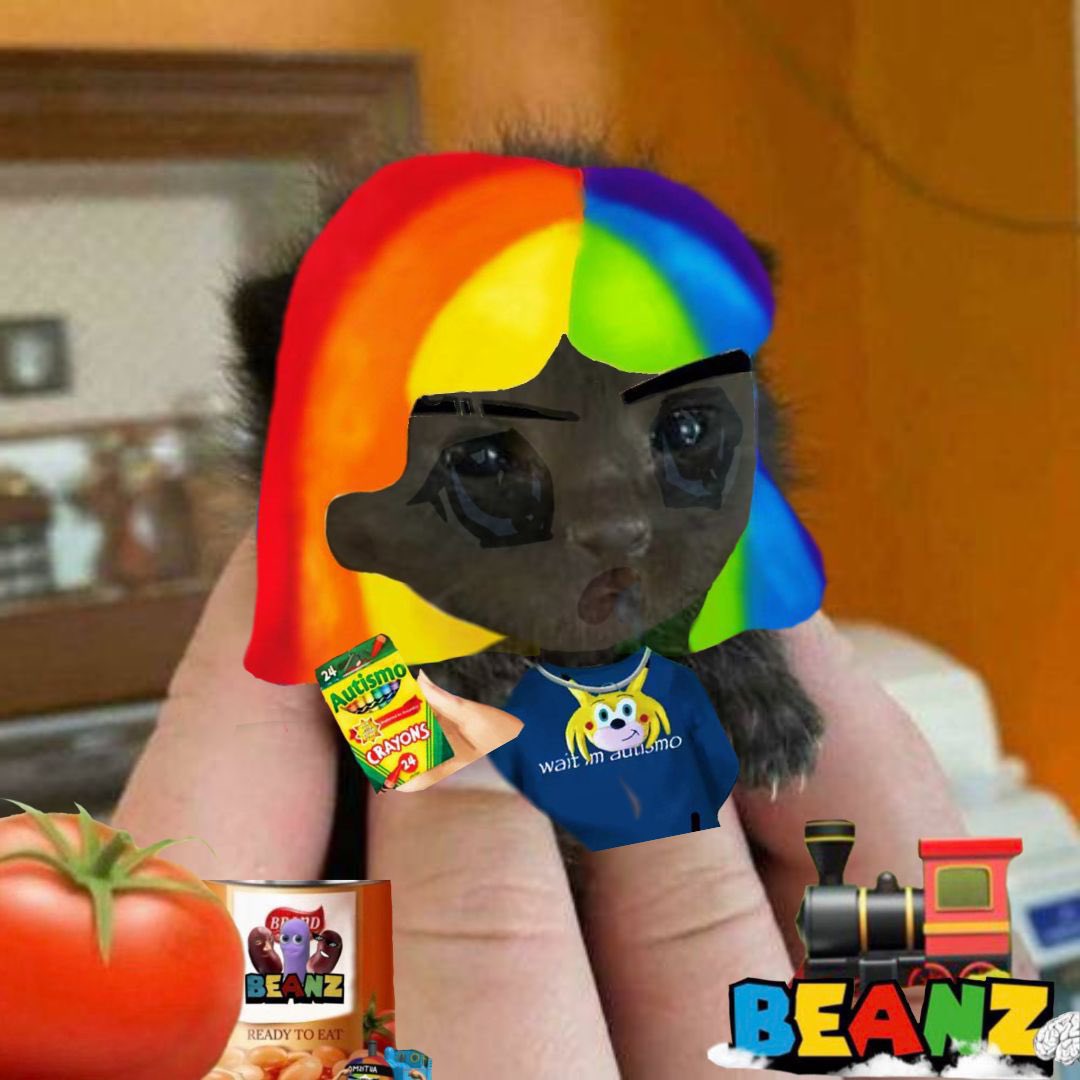 Beanzmfer's tweet image. Haha the $itty fam are lit