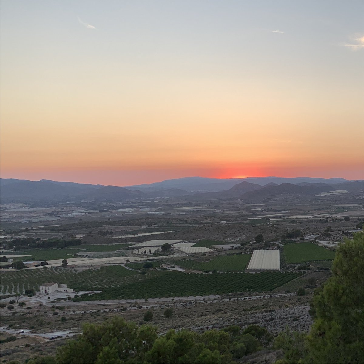 Uvasdoce tweet media