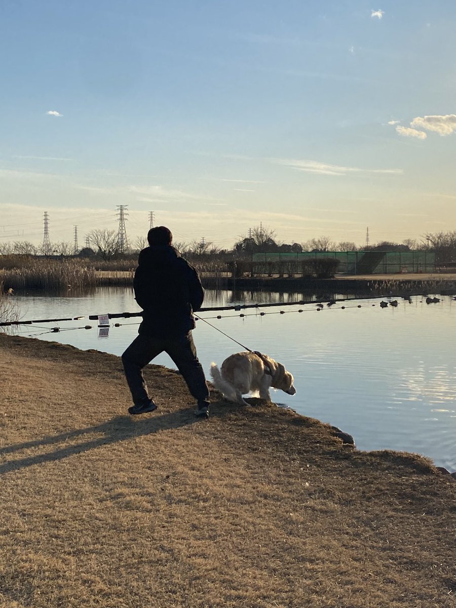 tabitobon's tweet image. どこでも泳ごうとするのやめてください🙅🏻