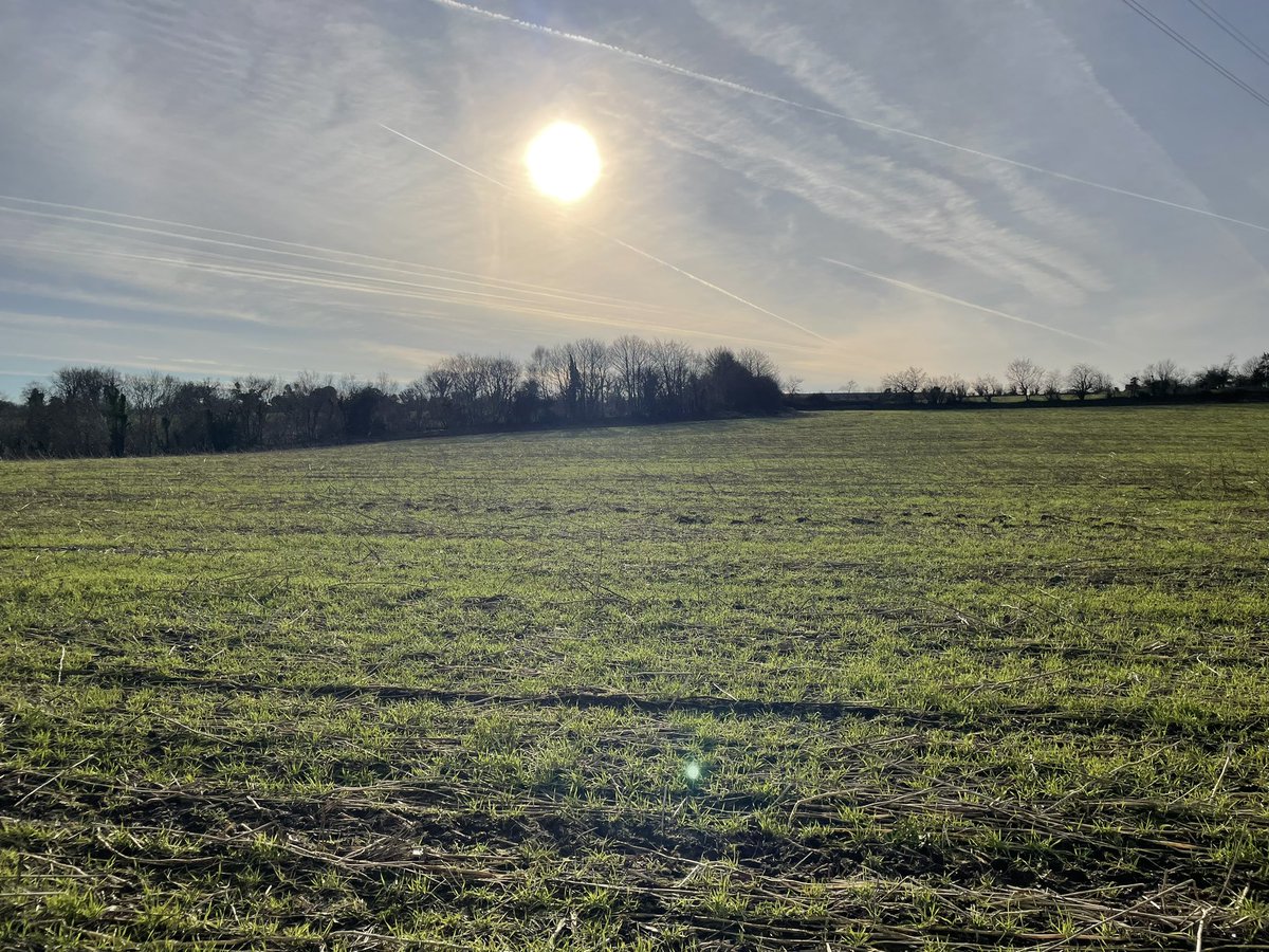 C'est vraiment un plaisir de voir cette météo sèche et ce soleil magnifique depuis samedi! Depuis le temps qu'on attendait, les vaches et les céréales vont en profiter 🐄🌾