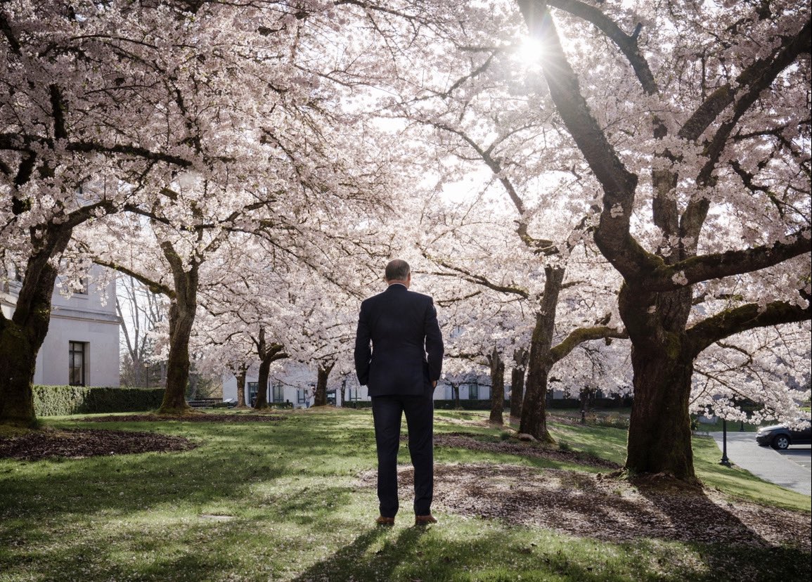 Sam Holman 🌲 tweet media