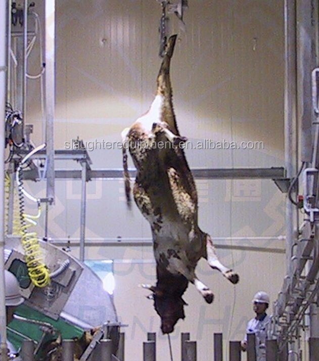 For those of us who mindlessly, uncritically &amp; obediently conform to social norms, especially egregiously violent, indefensible norms, the capacity for dialectic reasoning and moral agency is superfluous to requirements, when just a spinal cord would equally suffice.