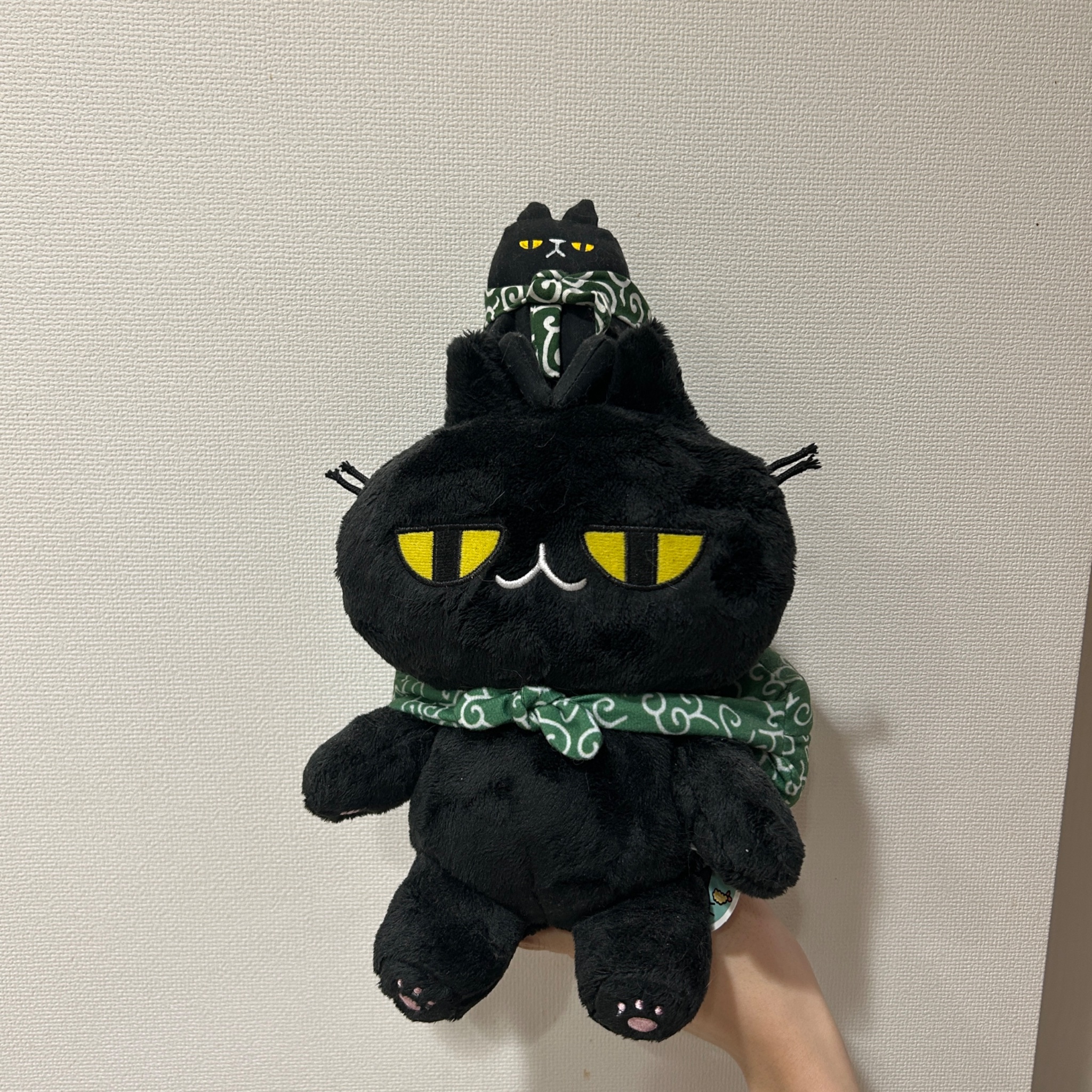 【ねこ】 ちしまこうのすけ on X: 