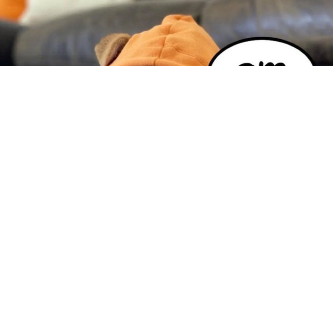 gm $DOG Army !

Wish a good day to you, lets keep pushing $DOG