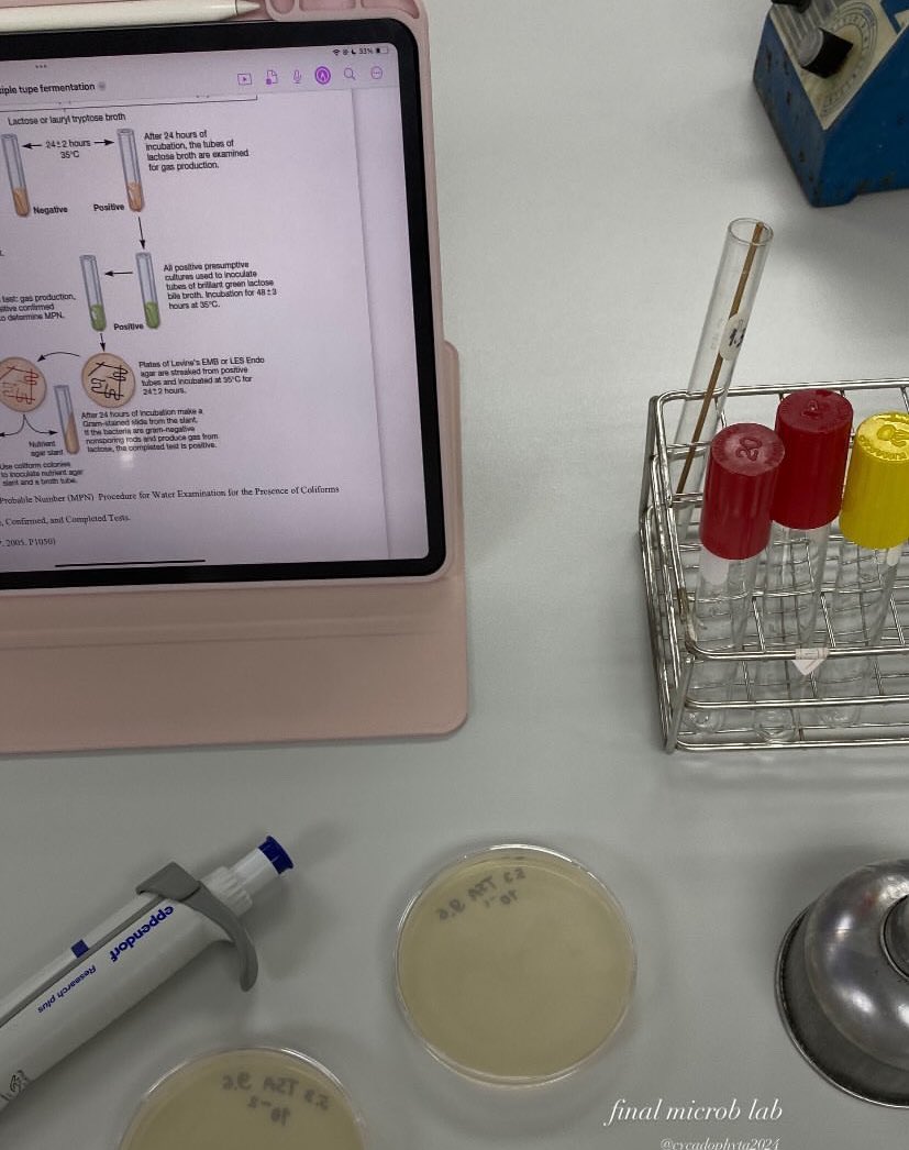 ⋆. ୨୧˚⋆  ˖⋆࿐໋ ⊹ ࣪𐙚꒰｡ 🪽 ⋆
⋆ rxcu y 2 t 1 ( belated ) dump ⋆.