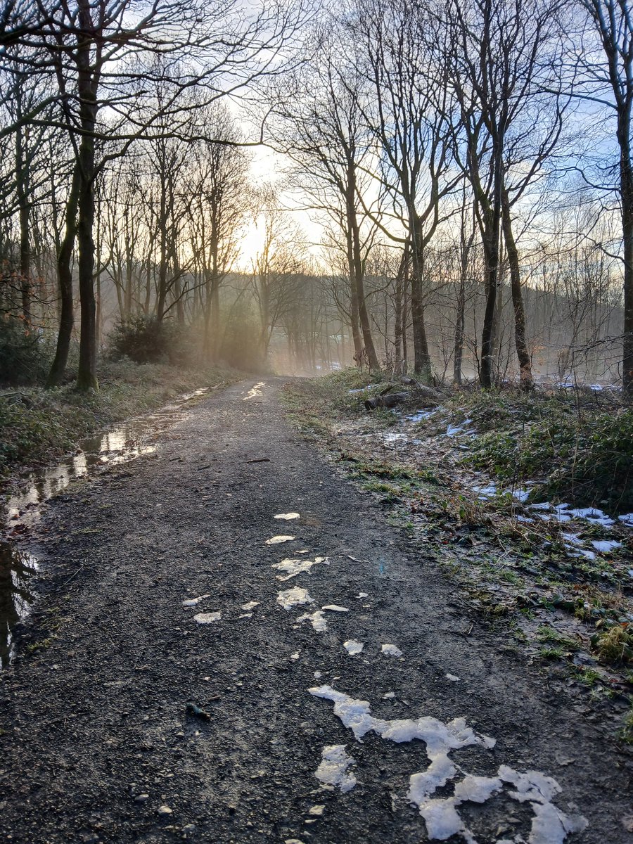 Calder_Chaplain's tweet photo. Wheater Woods Wednesday. https://t.co/S8WNMR6Tt1