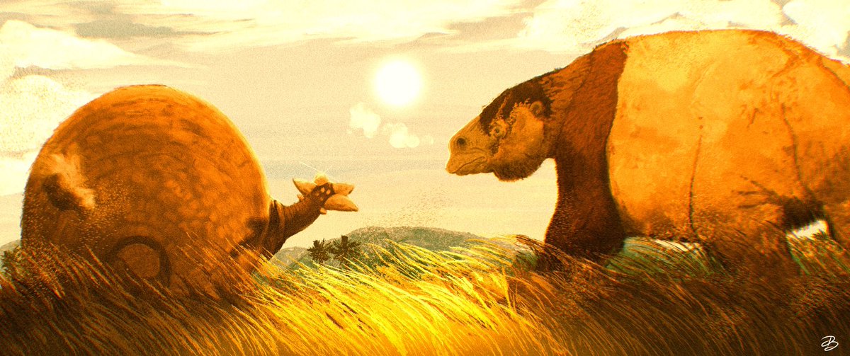astrapionte's tweet image. Argentina 🇦🇷, 32.6 KYA.

The path of titans overlap at noon. A huge male Doedicurus waves his tail as a warning to a female Megatherium. 
…
#paleoart #sloth #armadillo #pleistocene