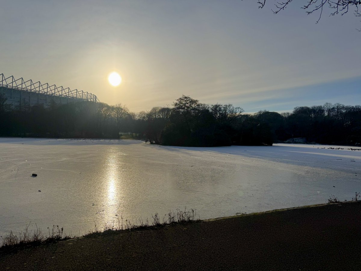 Robert Donaldson tweet media