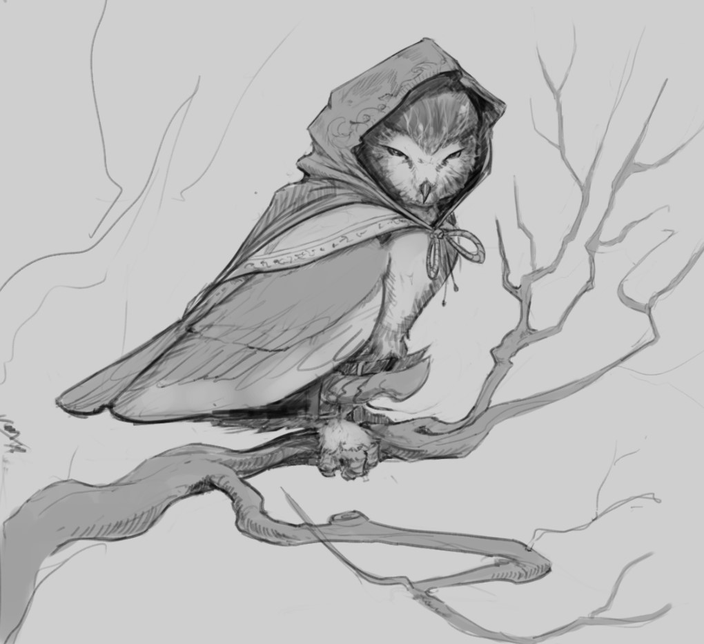 owl sketch