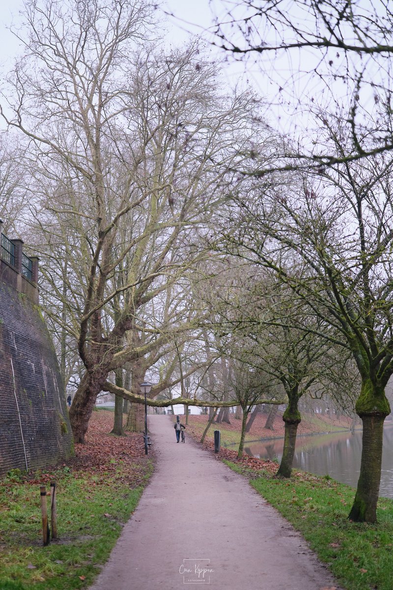 210/366 #DagelijksUtrecht - Grijs naast Sonnenborgh

#Utrecht