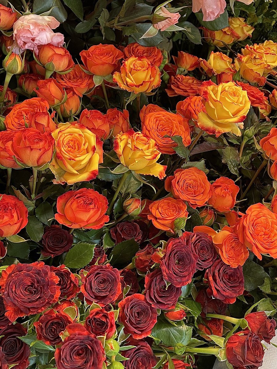 Flower shops are the city’s romantic stops.☘💐🌷🌼🌹🌻