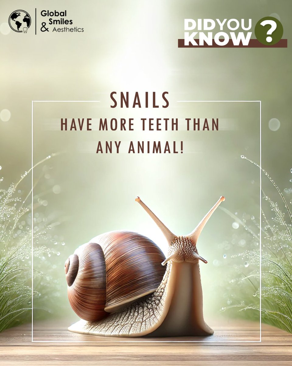 global__smiles's tweet photo. Some #snail species have over 20,000 tiny teeth. 😲 They use these to scrape and grind food efficiently.
Unlike snails, we need #dentalcare! 🪥✨ Keep your #teeth healthy by #brushing, #flossing, and visiting your #dentist regularly. 😁
#FunFact #SnailTeeth #Dentistry https://t.co/ubAnhUzu7k
